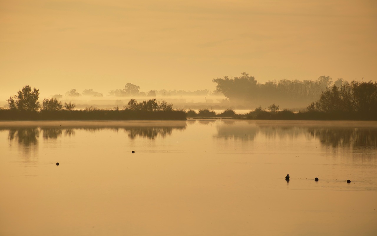 Parque nacional Doñana
