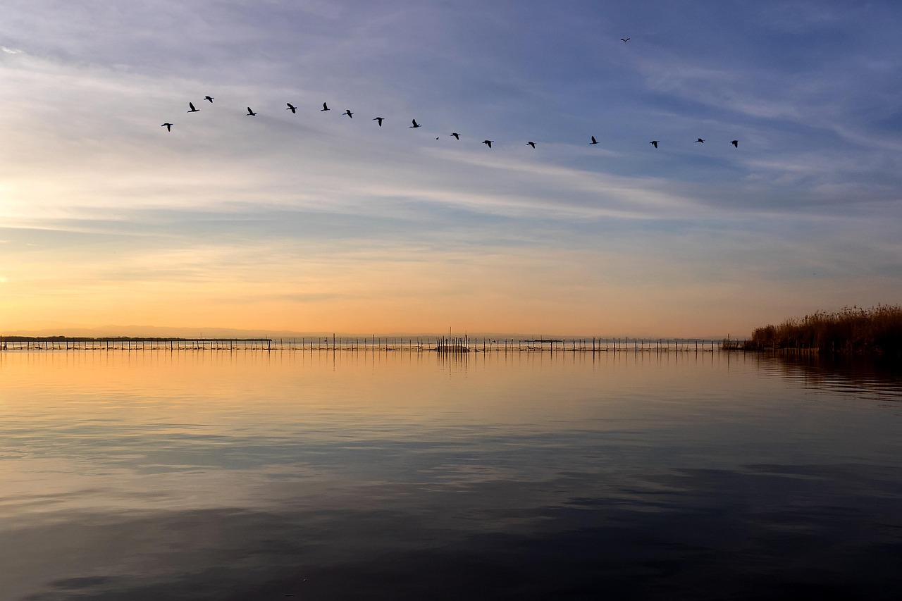 Albufera Valencia Viaje de fin de curso