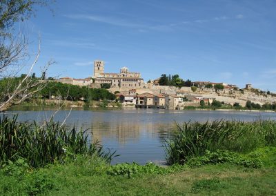 Viaje de fin de curso a Zamora