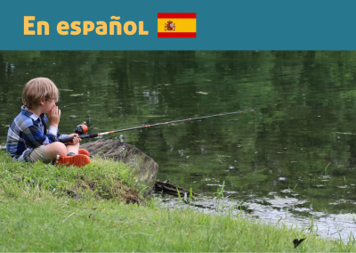 Campamento Burgos multiaventura (Pineda de la Sierra)
